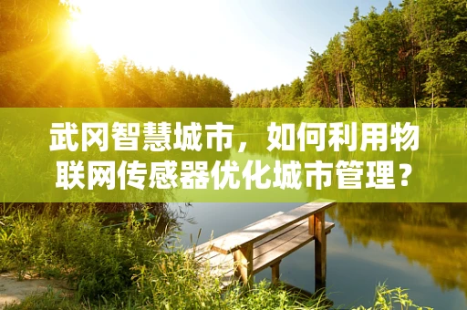 武冈智慧城市，如何利用物联网传感器优化城市管理？