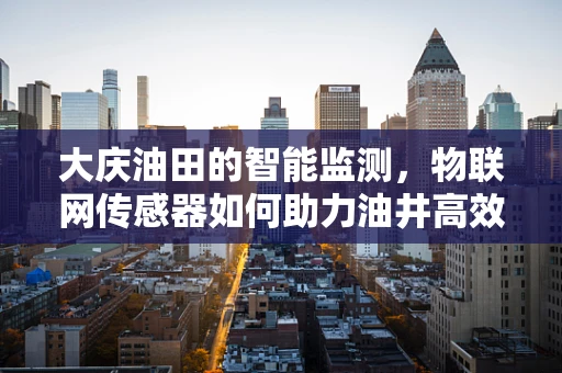 大庆油田的智能监测，物联网传感器如何助力油井高效运行？