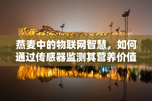 燕麦中的物联网智慧，如何通过传感器监测其营养价值与新鲜度？