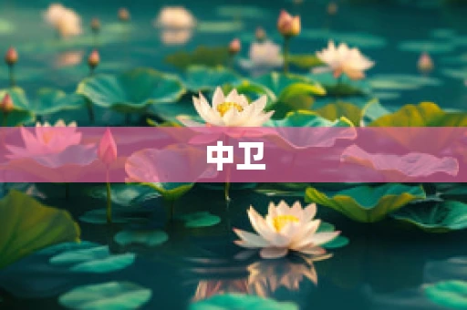 中卫
