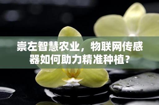 崇左智慧农业，物联网传感器如何助力精准种植？