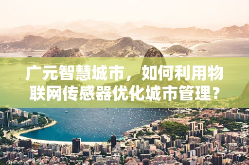 广元智慧城市，如何利用物联网传感器优化城市管理？