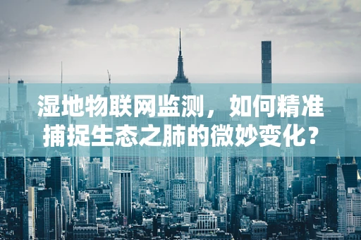 湿地物联网监测，如何精准捕捉生态之肺的微妙变化？