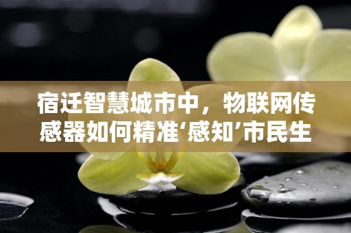 宿迁智慧城市中，物联网传感器如何精准‘感知’市民生活？