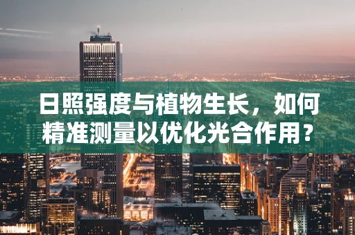 日照强度与植物生长，如何精准测量以优化光合作用？