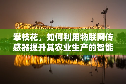 攀枝花，如何利用物联网传感器提升其农业生产的智能化水平？