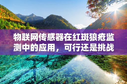 物联网传感器在红斑狼疮监测中的应用，可行还是挑战？