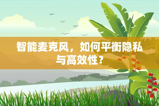 智能麦克风，如何平衡隐私与高效性？