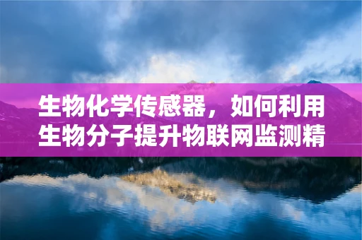生物化学传感器，如何利用生物分子提升物联网监测精度？