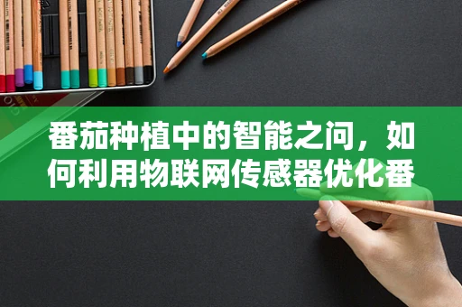 番茄种植中的智能之问，如何利用物联网传感器优化番茄生长环境？