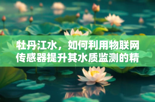 牡丹江水，如何利用物联网传感器提升其水质监测的精准度？