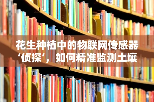 花生种植中的物联网传感器‘侦探’，如何精准监测土壤湿度？