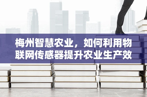 梅州智慧农业，如何利用物联网传感器提升农业生产效率？