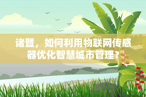 诸暨，如何利用物联网传感器优化智慧城市管理？
