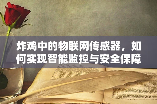 炸鸡中的物联网传感器，如何实现智能监控与安全保障？