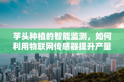 芋头种植的智能监测，如何利用物联网传感器提升产量与质量？