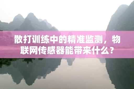 散打训练中的精准监测，物联网传感器能带来什么？