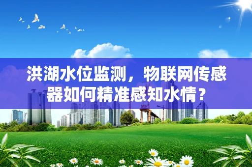 洪湖水位监测，物联网传感器如何精准感知水情？