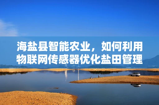 海盐县智能农业，如何利用物联网传感器优化盐田管理？