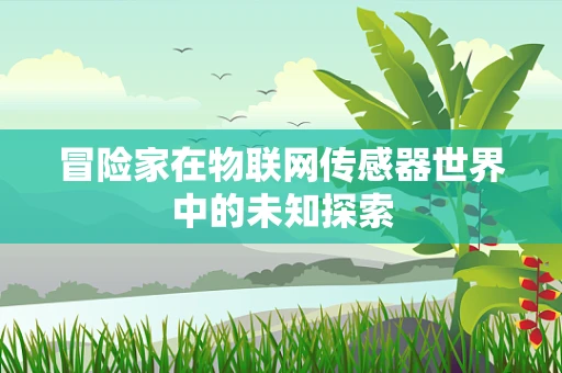 冒险家在物联网传感器世界中的未知探索