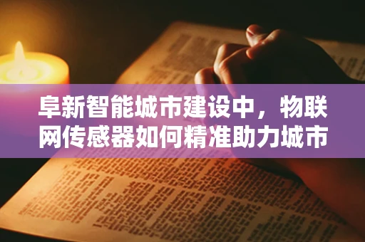 阜新智能城市建设中，物联网传感器如何精准助力城市管理？