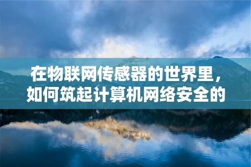 在物联网传感器的世界里，如何筑起计算机网络安全的高墙？