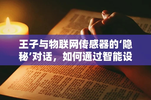 王子与物联网传感器的‘隐秘’对话，如何通过智能设备守护王室安全？