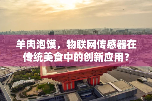 羊肉泡馍，物联网传感器在传统美食中的创新应用？