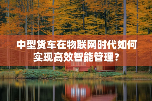 中型货车在物联网时代如何实现高效智能管理？