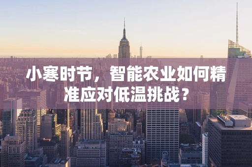 小寒时节，智能农业如何精准应对低温挑战？