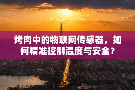 烤肉中的物联网传感器，如何精准控制温度与安全？