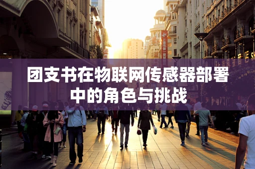 团支书在物联网传感器部署中的角色与挑战