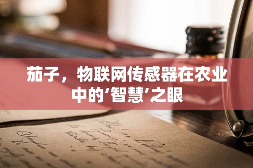 茄子，物联网传感器在农业中的‘智慧’之眼