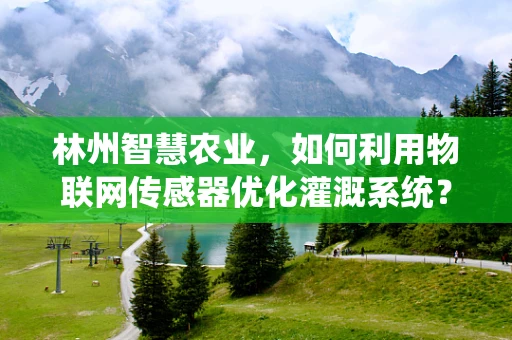 林州智慧农业，如何利用物联网传感器优化灌溉系统？