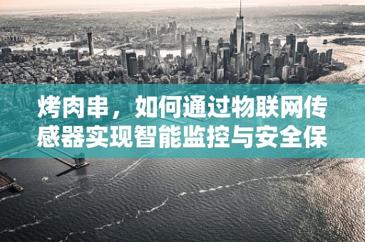 烤肉串，如何通过物联网传感器实现智能监控与安全保障？