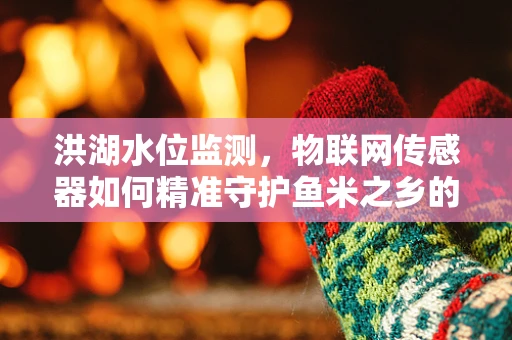 洪湖水位监测，物联网传感器如何精准守护鱼米之乡的安宁？