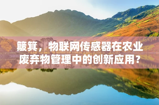 簸箕，物联网传感器在农业废弃物管理中的创新应用？