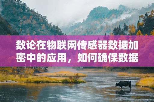 数论在物联网传感器数据加密中的应用，如何确保数据安全无虞？