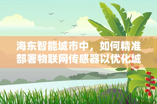 海东智能城市中，如何精准部署物联网传感器以优化城市管理？