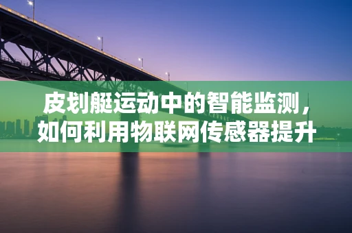 皮划艇运动中的智能监测，如何利用物联网传感器提升安全与效率？