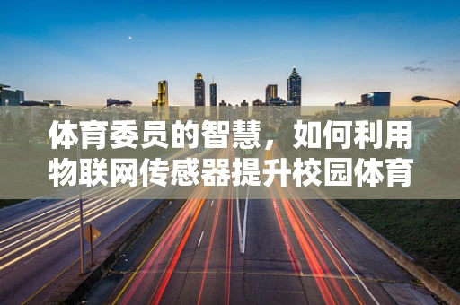 体育委员的智慧，如何利用物联网传感器提升校园体育活动的效率与安全？