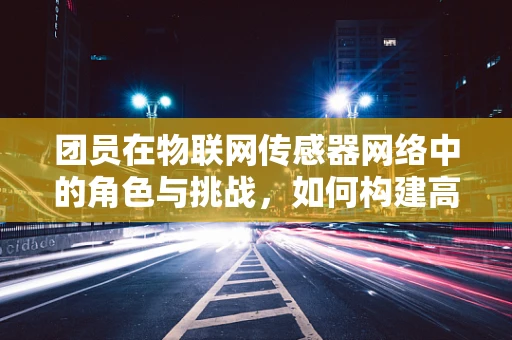 团员在物联网传感器网络中的角色与挑战，如何构建高效的数据收集团队？