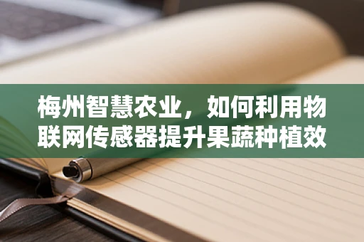 梅州智慧农业，如何利用物联网传感器提升果蔬种植效率？