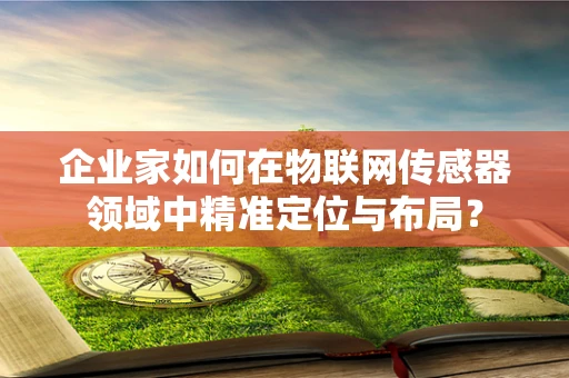 企业家如何在物联网传感器领域中精准定位与布局？