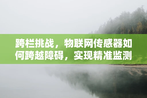 跨栏挑战，物联网传感器如何跨越障碍，实现精准监测？