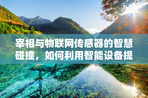 宰相与物联网传感器的智慧碰撞，如何利用智能设备提升决策效率？