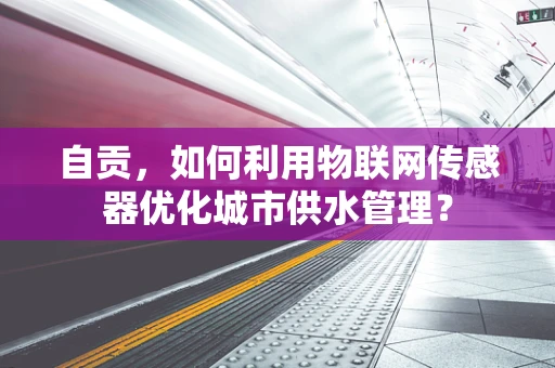 自贡，如何利用物联网传感器优化城市供水管理？
