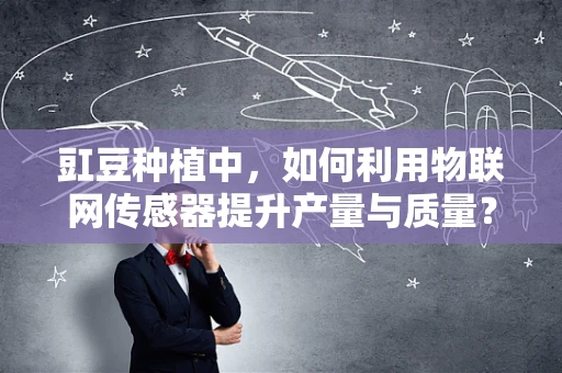 豇豆种植中，如何利用物联网传感器提升产量与质量？