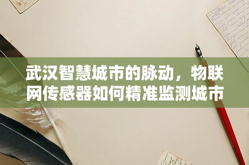 武汉智慧城市的脉动，物联网传感器如何精准监测城市健康？