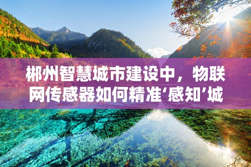 郴州智慧城市建设中，物联网传感器如何精准‘感知’城市脉动？